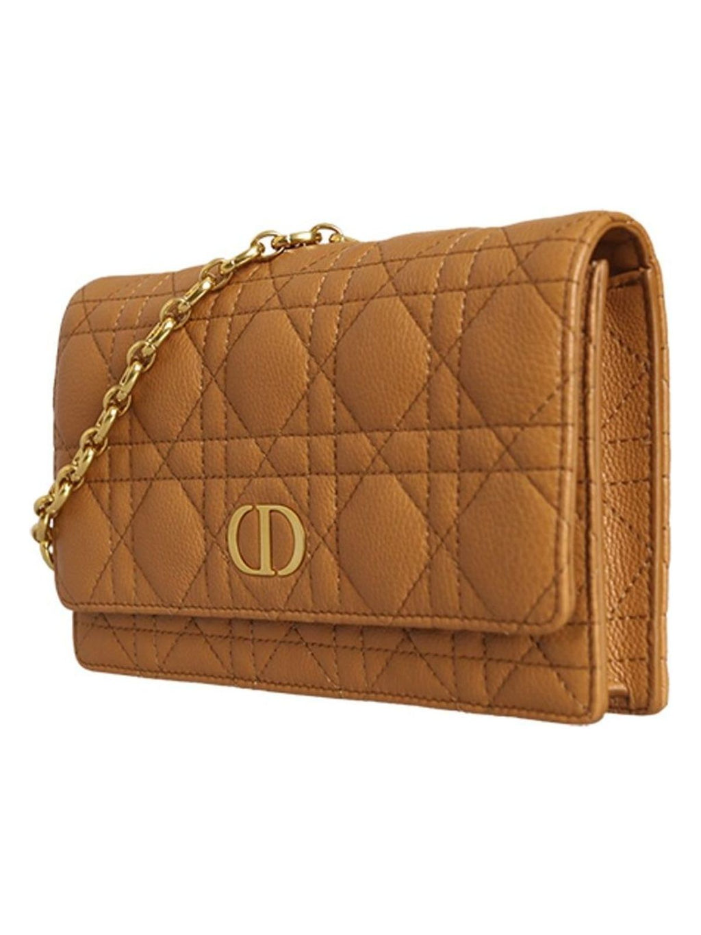 DIOR CARO POUCH
