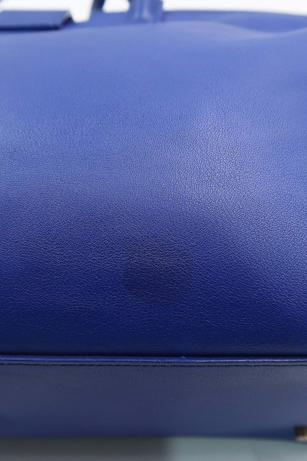 Monogram Small Downton Cabas Blue