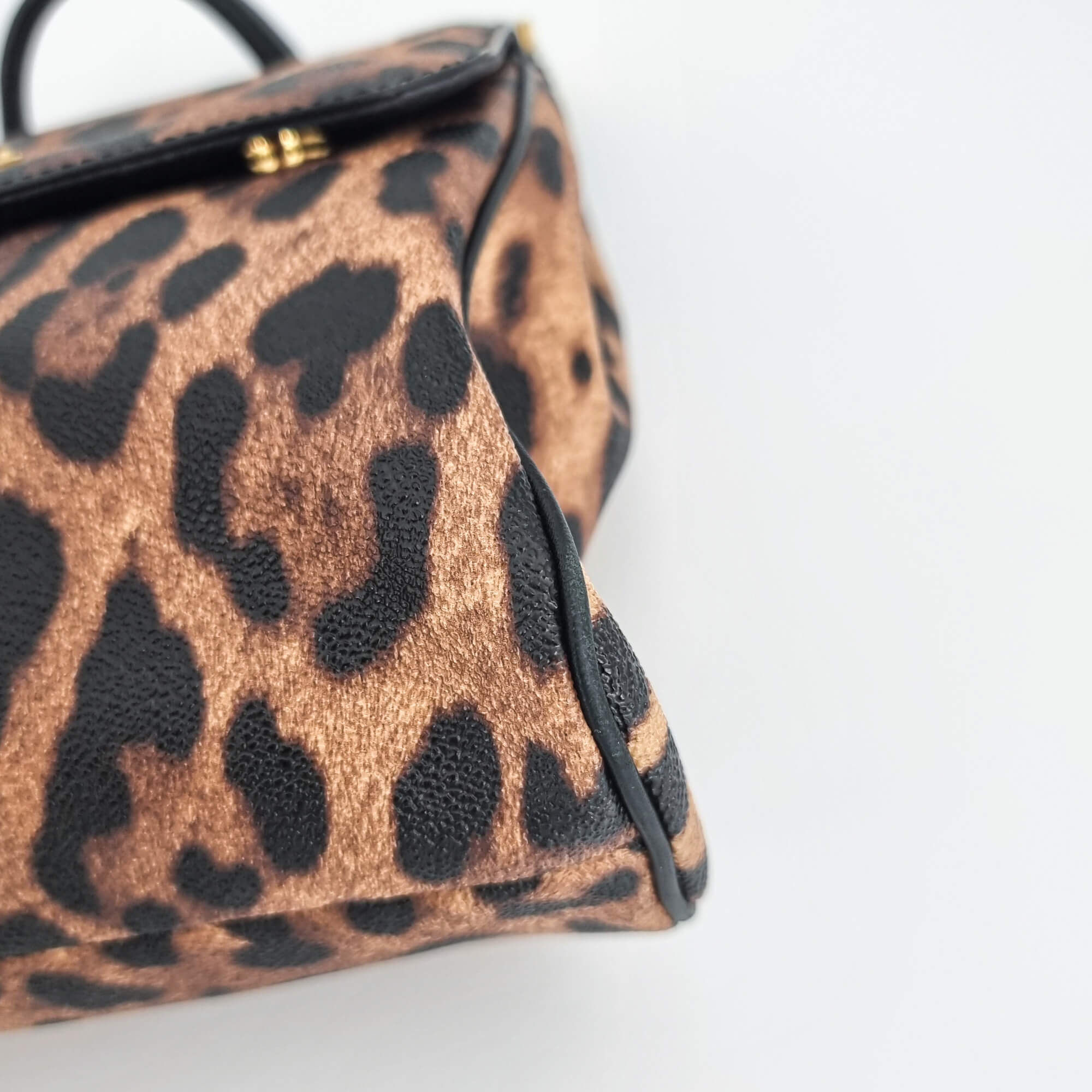 Dolce e Gabbana Black & Brown Leopard Print Sicily