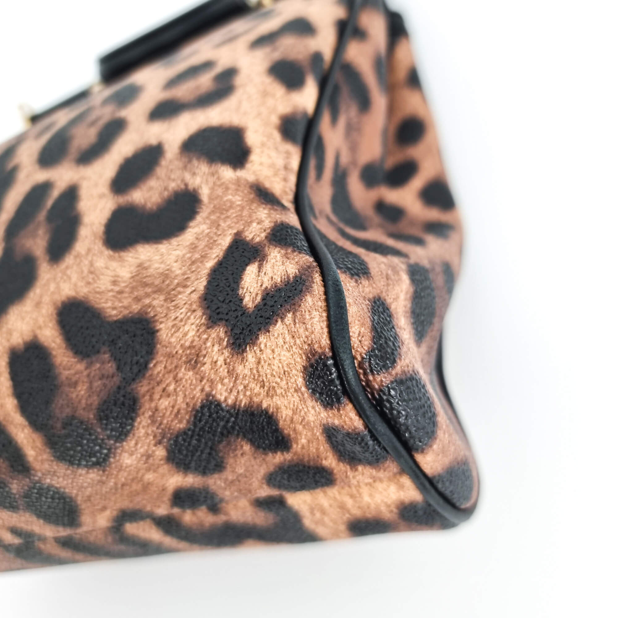Dolce e Gabbana Black & Brown Leopard Print Sicily