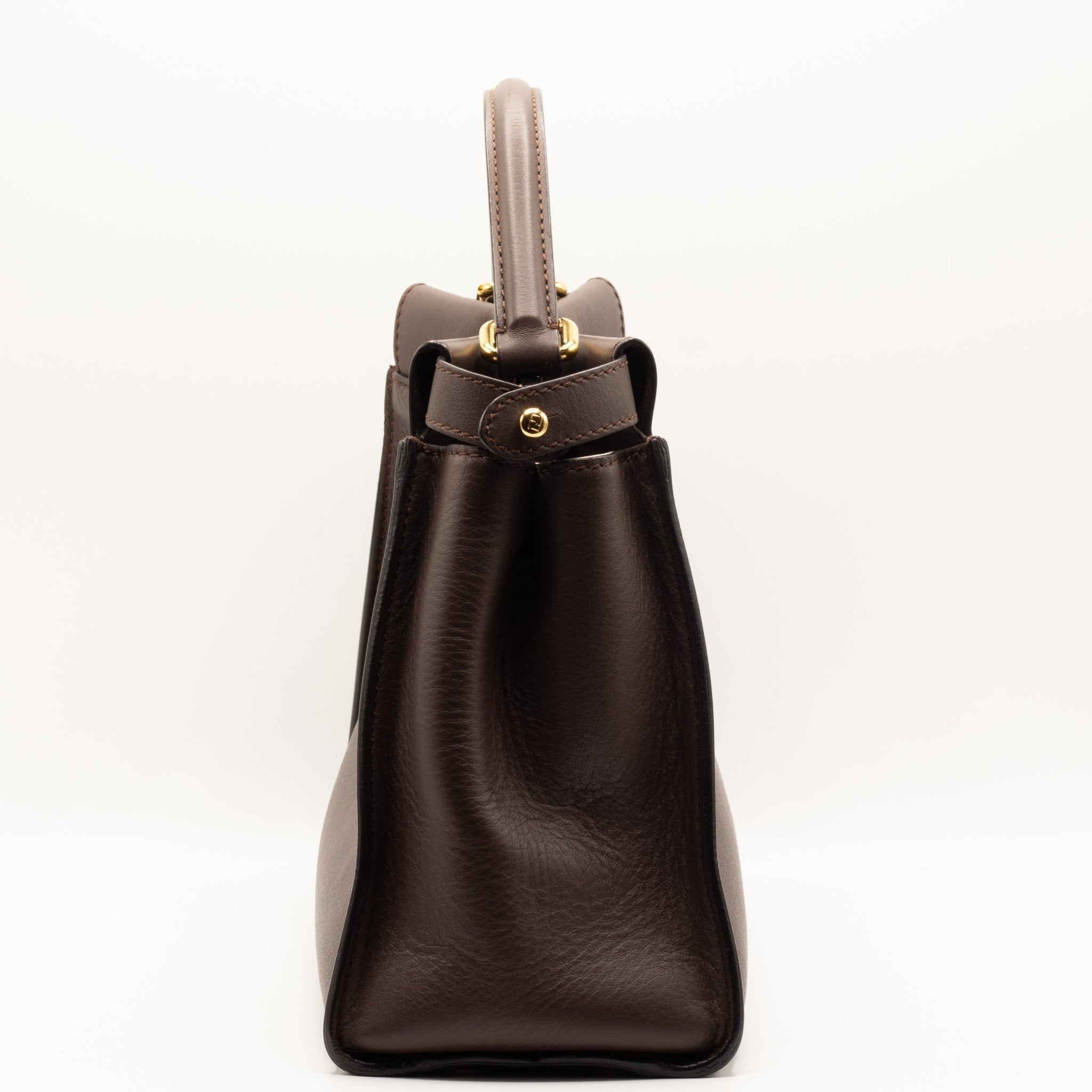 Peekaboo Regular Brown Leather