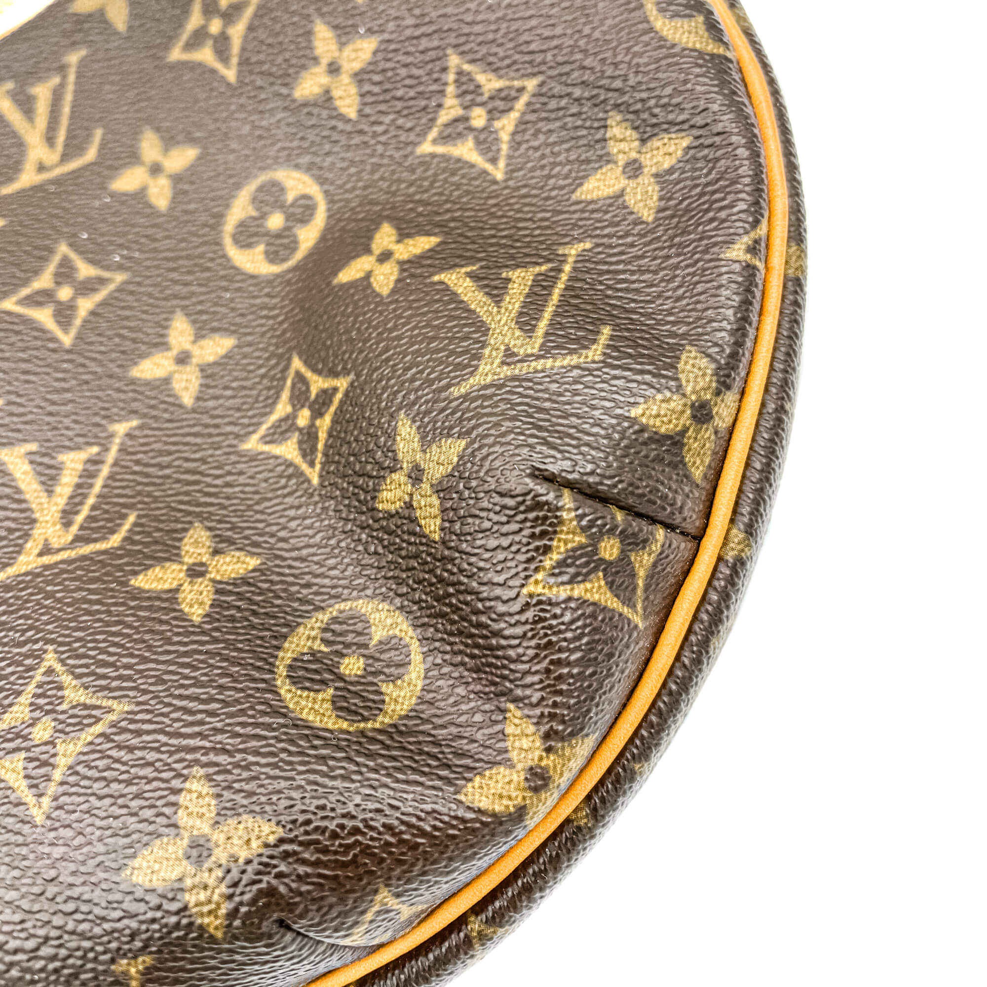 Croissant MM Monogram Bag