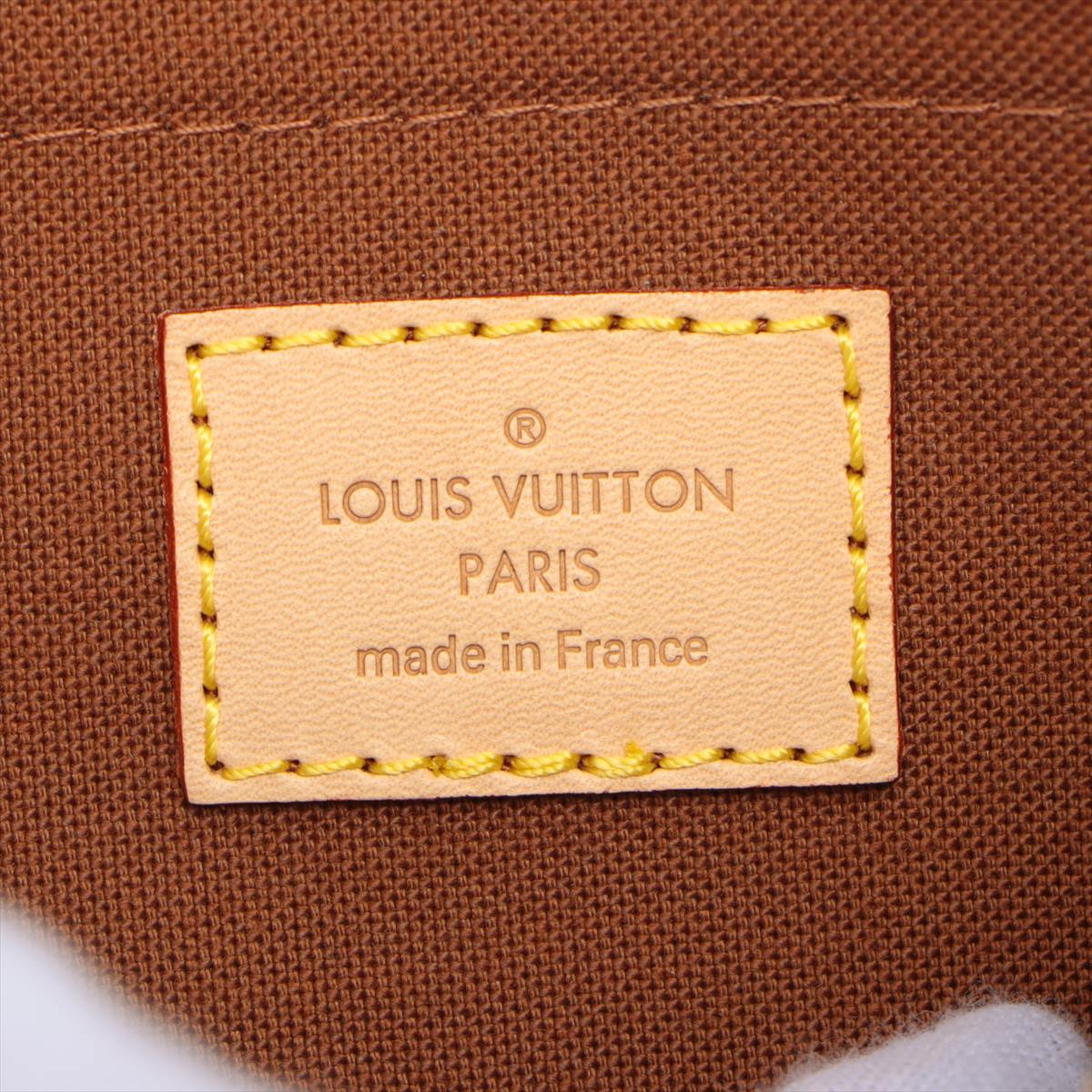 Multi Pochette Accessoires Monogram Canvas & Leather Bag