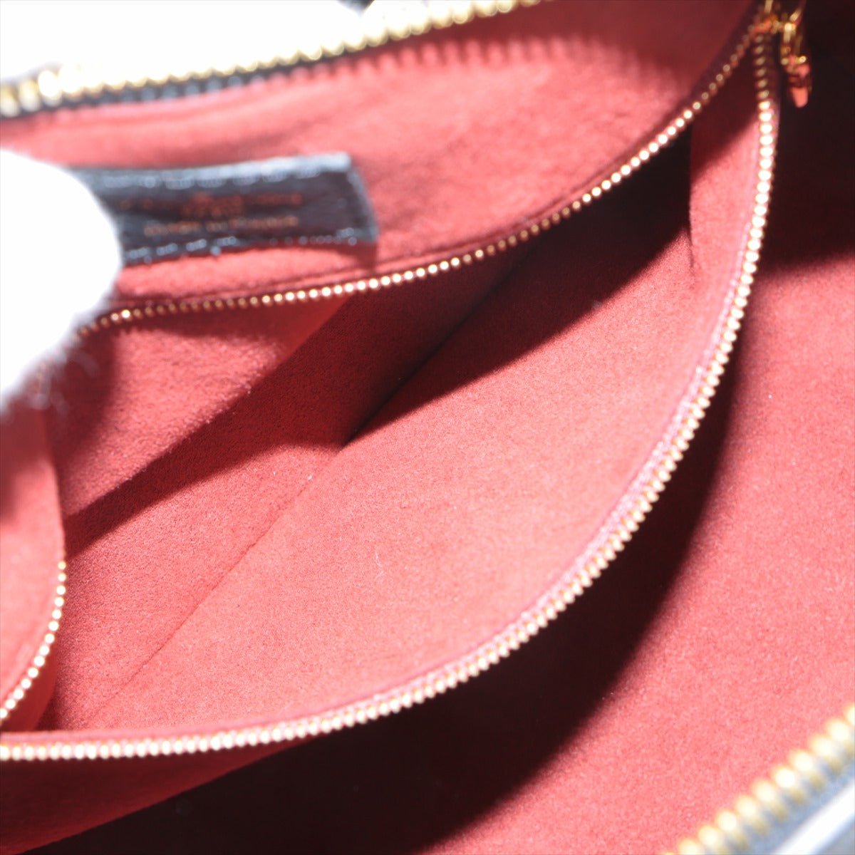Speedy 25 Bandouliere Bag Bicolor Monogram Empreinte Giant