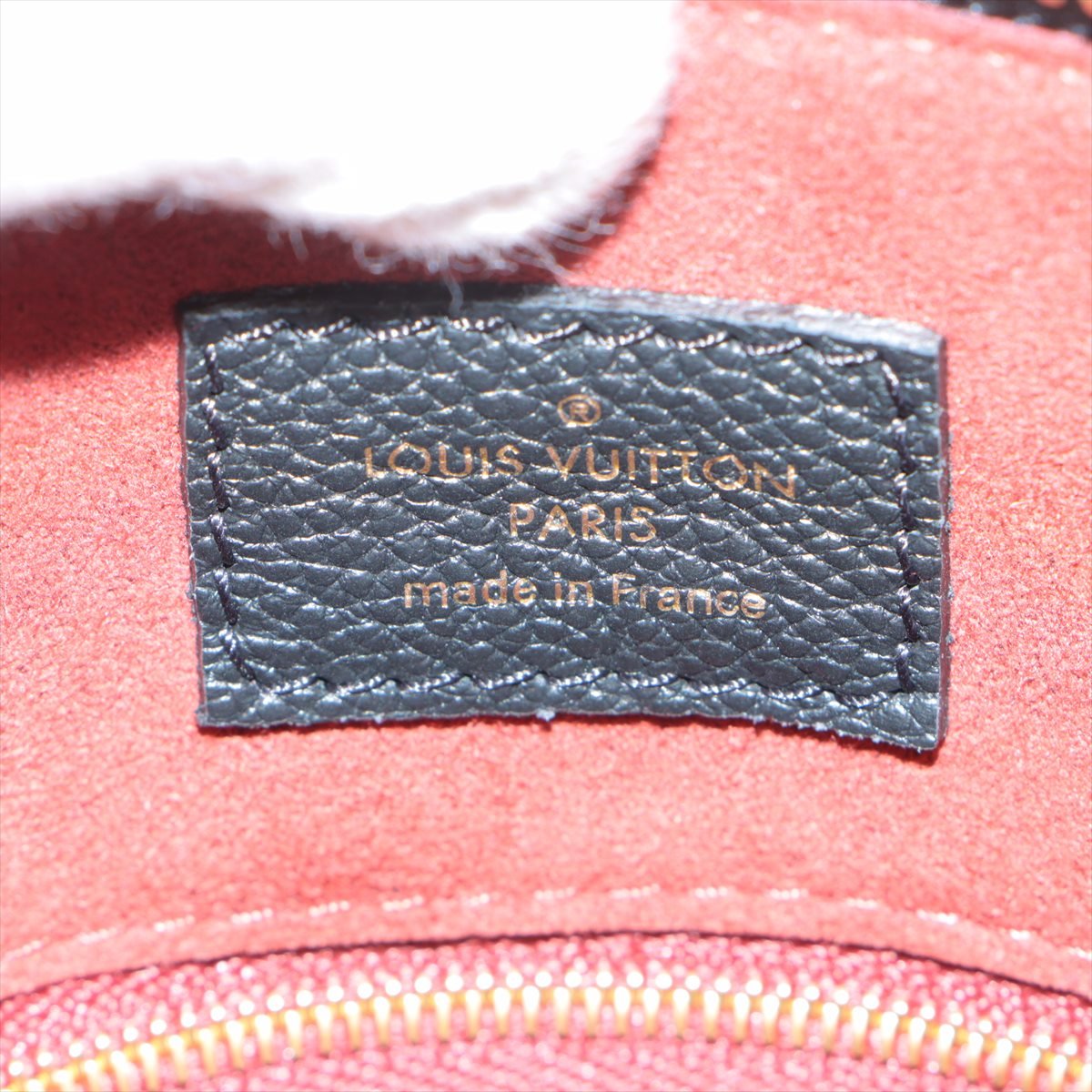 Speedy 25 Bandouliere Bag Bicolor Monogram Empreinte Giant