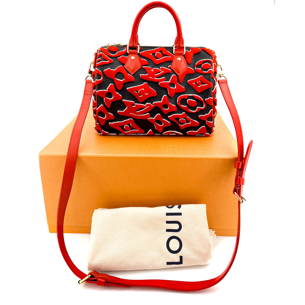 Speedy BandouliÃƒÆ’Ã‚Â¨re 30 Monogram Urs Fischer Bag