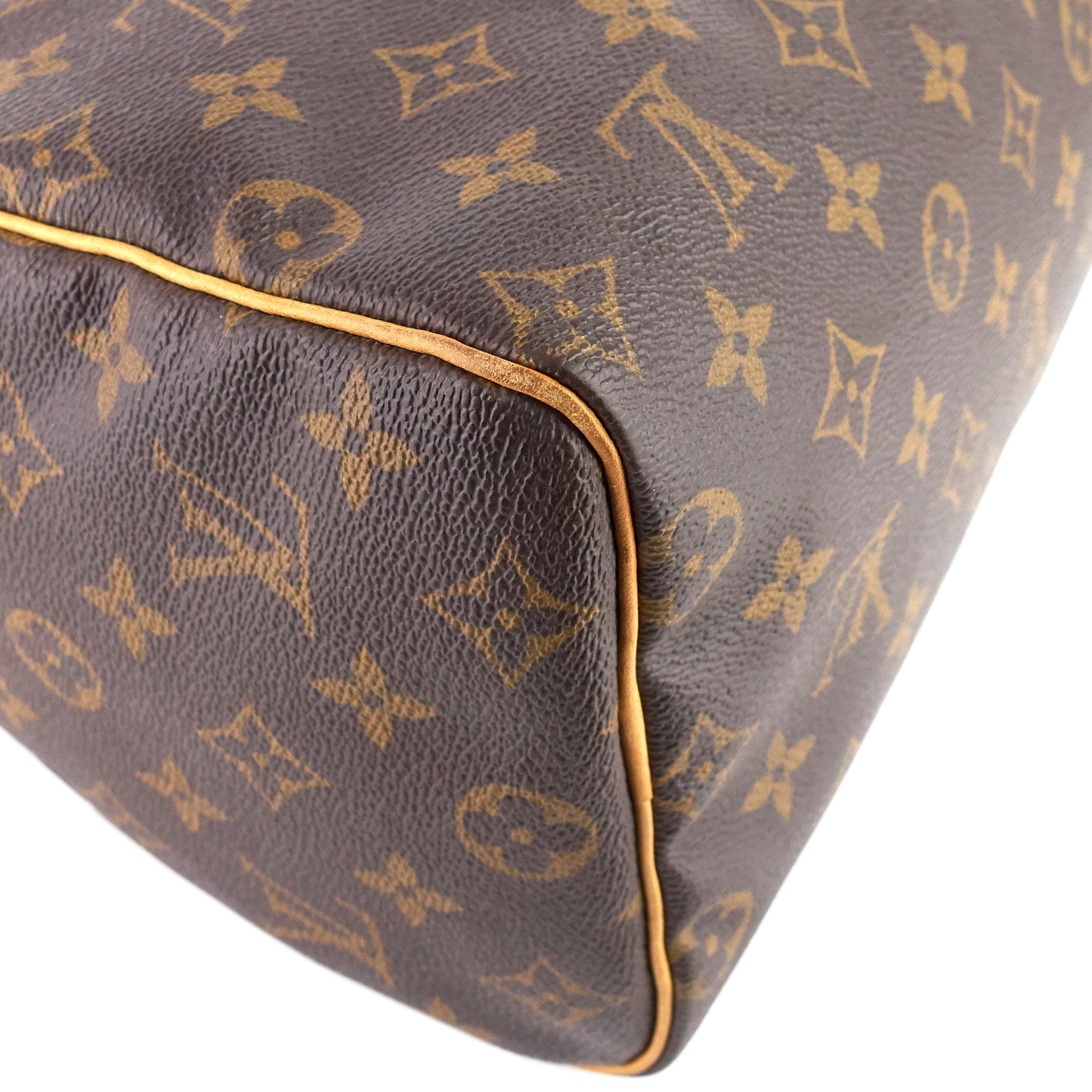 Louis Vuitto Speedy 25 Monogram Canvas Bag