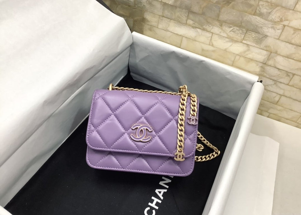 CHLSpring And Summer 22C Violet For Women, Women’s Bags 6.1in/15.5cm