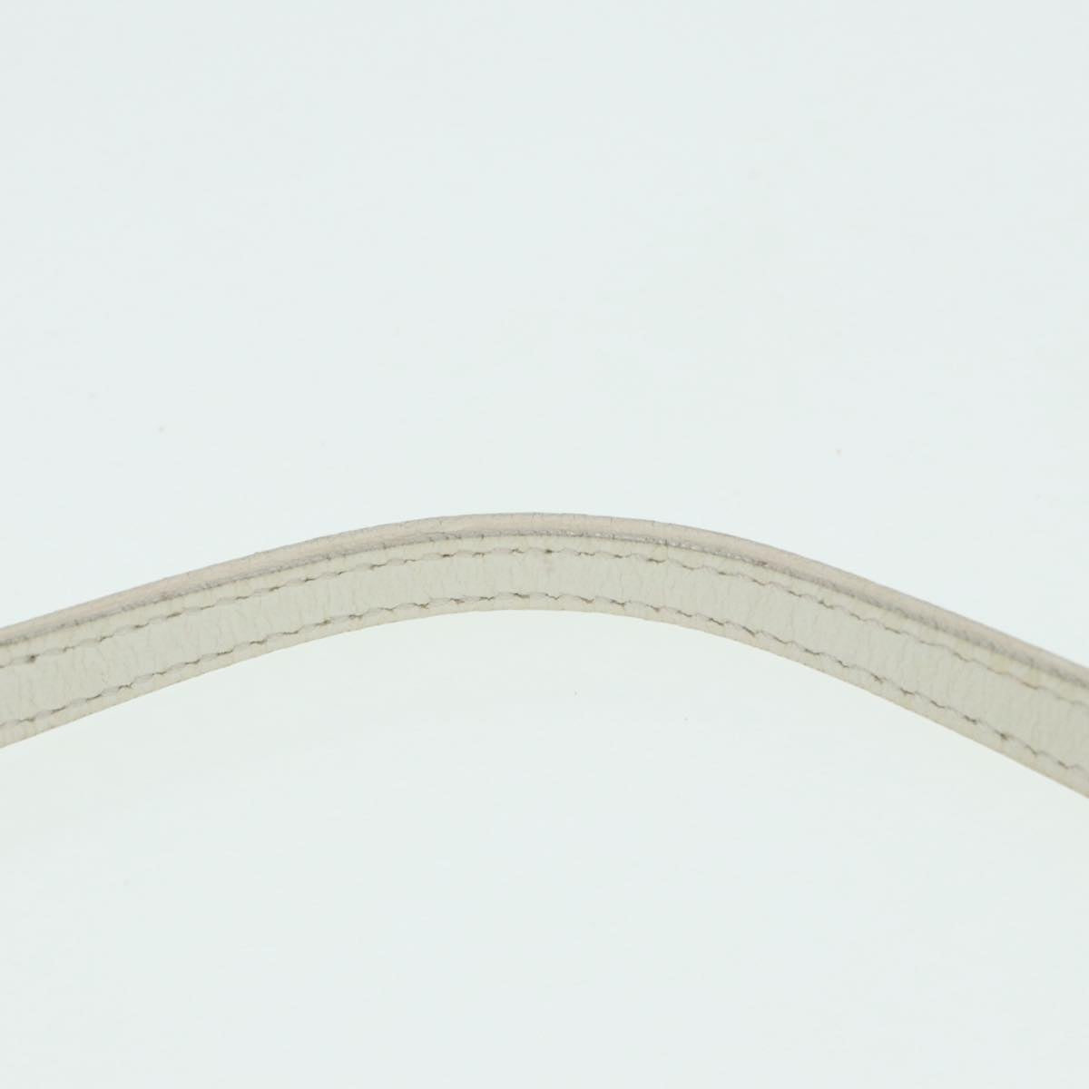 FENDI Zucchino Canvas Pouch Nylon White Silver ti1933