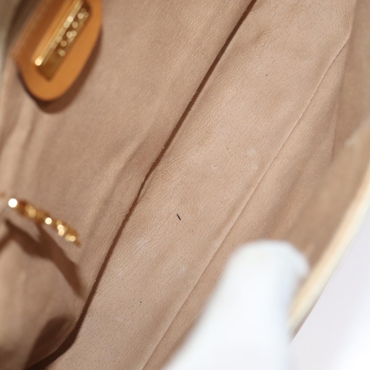 GUCCI GG Supreme Shoulder Bag PVC Leather Beige gold 001 106 0185 ti1955