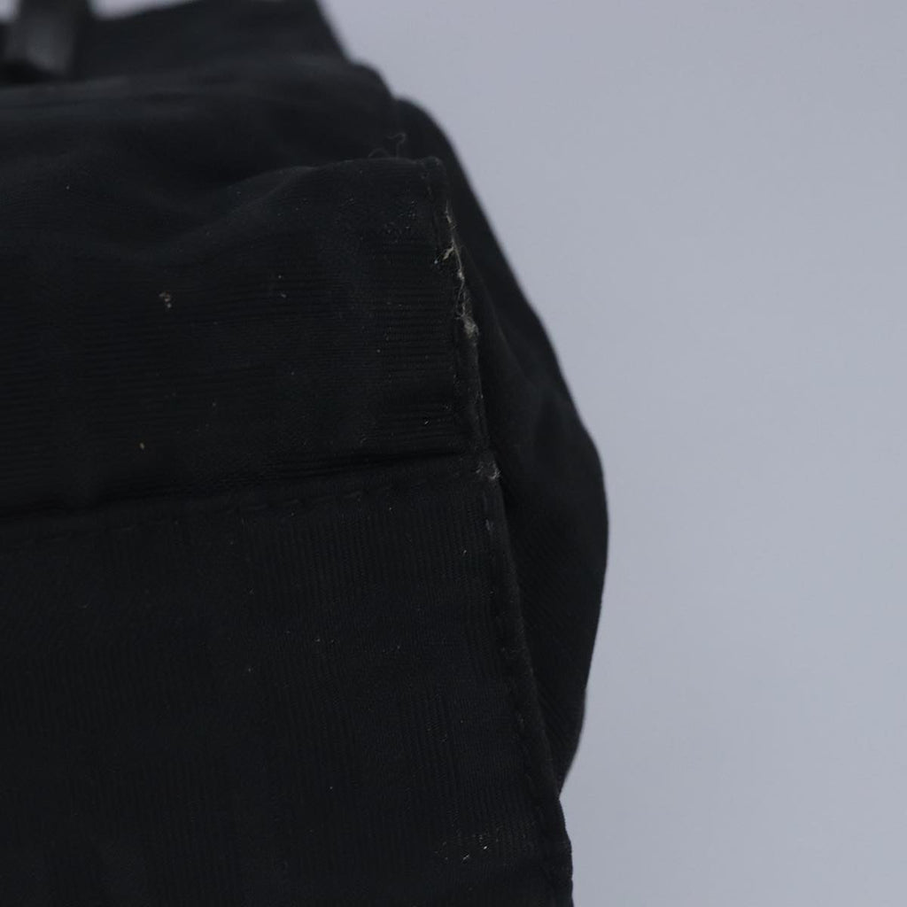 FENDI Zucca Canvas Hand Bag Nylon Black ti2314