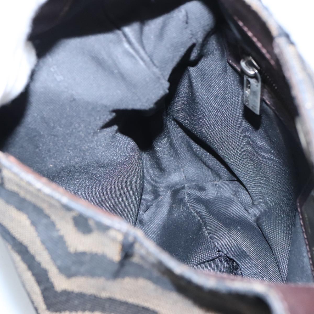 FENDI Hand Bag Canvas Brown ti2388