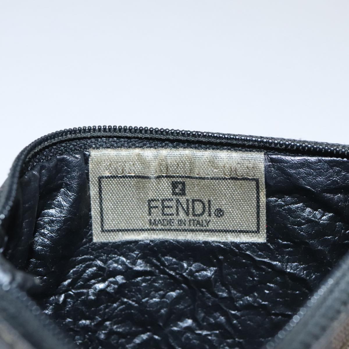 FENDI Pecan Canvas Pouch PVC Black Brown Gold ti2537