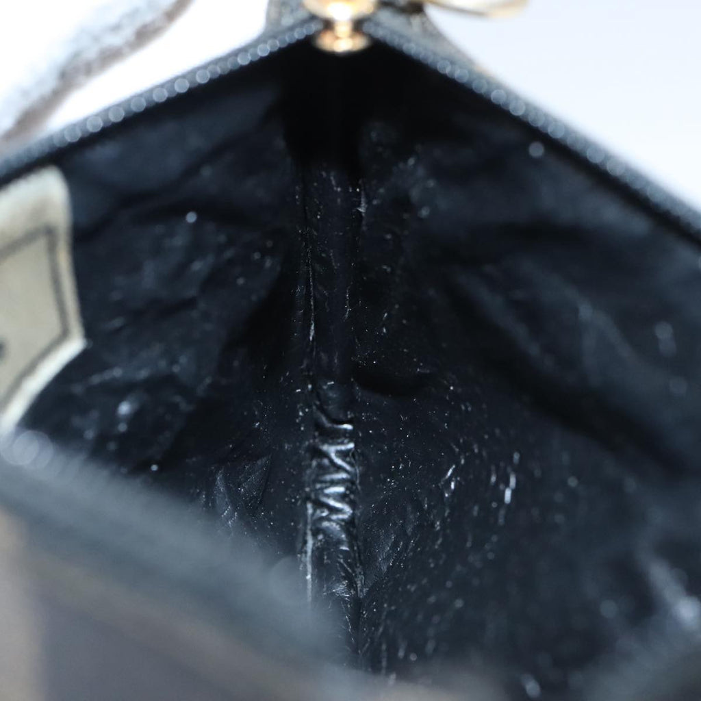 FENDI Pecan Canvas Pouch PVC Black Brown Gold ti2537