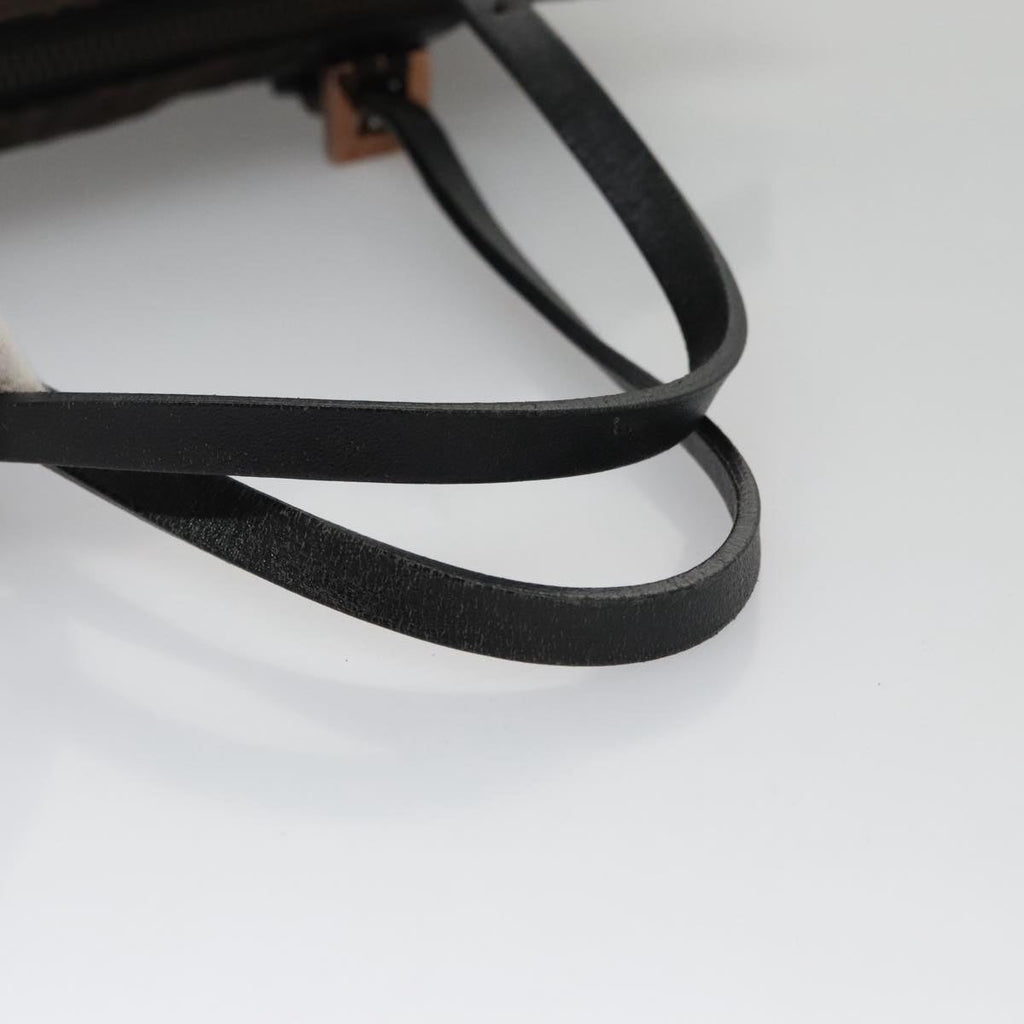 FENDI Zucchino Canvas Hand Bag Brown yk16172